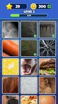 Guess it! Zoom Pic Trivia Game screenshot APK 10