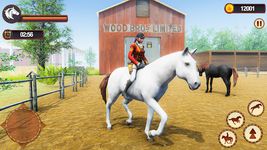 My Horse Herd Care Simulator captura de pantalla apk 14