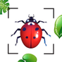 Icona Bug Identifier Bug Finder