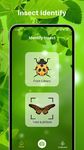 Bug Identifier Bug Finder capture d'écran apk 