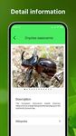 Screenshot 3 di Bug Identifier Bug Finder apk