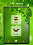 Bug Identifier Bug Finder screenshot apk 4