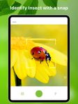 Screenshot 5 di Bug Identifier Bug Finder apk