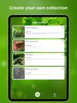 Bug Identifier Bug Finder capture d'écran apk 6