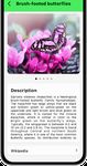 Bug Identifier Bug Finder capture d'écran apk 8