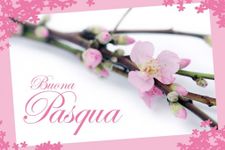 Screenshot 8 di Buona Pasqua 2023 apk