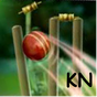 Cricket Launcher APK
