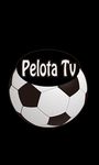 Imagem  do Pelota TV - Fútbol en Vivo
