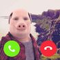 ikon John Pork In Video Call 