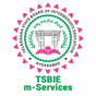 TSBIE m-Services icon