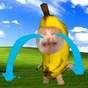 Banana Series - Cat Meme APK Simgesi