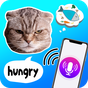 Cat translator - Meow language icon