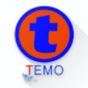 Temo Store