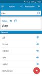 Screenshot  di Dizionario Italiano-Rumeno apk