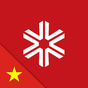 Biểu tượng Validus Vietnam