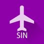 Singapore Flight Info Pro