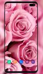 Fondos Pantalla De Color Rosa captura de pantalla apk 7