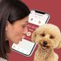 Dog Translator Prank Simulator APK