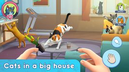 My Pets: Stray Cat Simulator capture d'écran apk 13