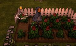 Gambar Pumpkin Farm Horror game 3
