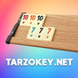 TarzOkey.Net - Mobil Okey Oyna APK