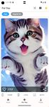 Screenshot 17 di Cute Cat Wallpaper HD apk