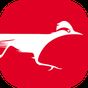 RoadRunner APK