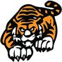 TigerTownToGo icon