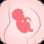 Pregnancy Tracker: Baby Growth APK