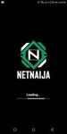 NetNaija image 1