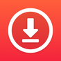Video downloader: Story Saver icon