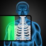 Картинка  x ray scan v4.0 рентген