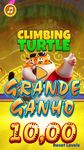 Imagem  do Fortune Climbing Turtle