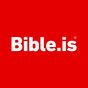 Bible: Dramatized Audio Bibles
