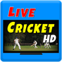 CricHD - Live Cricket TV 2023 apk 图标