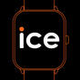 ICE ONE icon