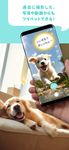 ツイペット：犬や猫のペットのきもちがわかる！？　翻訳アプリ のスクリーンショットapk 13