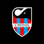 Icona Catania FC
