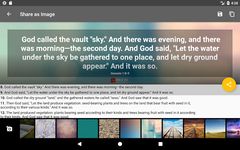 Bible Offline screenshot apk 18