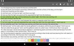 Screenshot 17 di Bible Offline apk