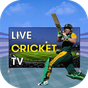 CricVid: Live Cricket TV 2023 APK