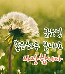 Tangkapan layar apk 좋은 아침  좋은 오후 좋은 밤 이미지 14