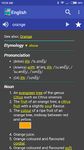 English Dictionary - Offline zrzut z ekranu apk 17