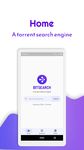 Bitsearch imgesi 