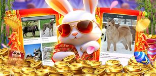 Imagem 3 do Crazy777 Rabbit PG Dogs-World