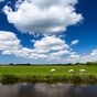 Het Weer in Nederland - Radar, weerbericht, alarm icon