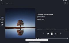 BubbleUPnP for DLNA/Chromecast의 스크린샷 apk 15
