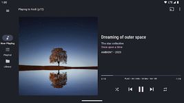 BubbleUPnP for DLNA/Chromecast ekran görüntüsü APK 4