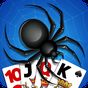 Spider Solitaire, large cards 图标