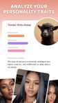 Immagine 10 di Animal Face - face types test